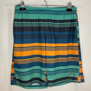 Multi Coloured Striped Athletic Shorts